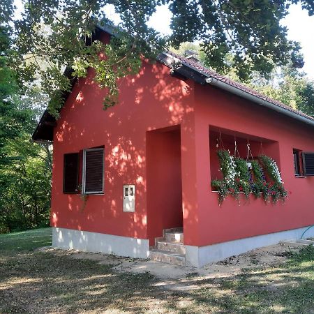 Villa Kuca Za Odmor Cordon à Vojnić Extérieur photo